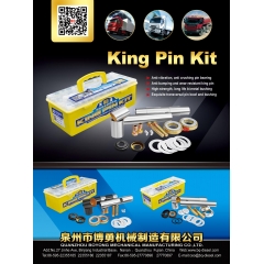 High Quality King Pin Kit for export